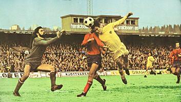 与团结, nybm 与团结, nybm