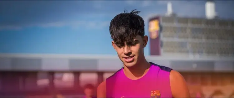 德容参加合 德容参加合