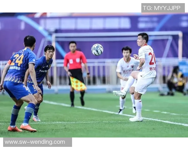 江苏苏宁易购与深圳佳兆业对比分析及未来发展趋势探讨